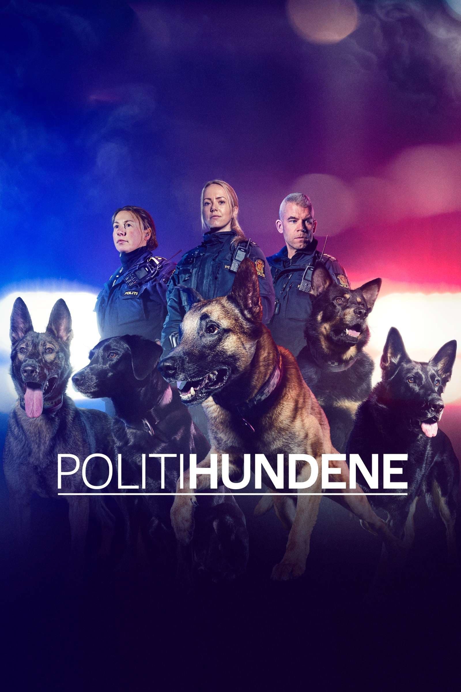 The Dog Patrol
